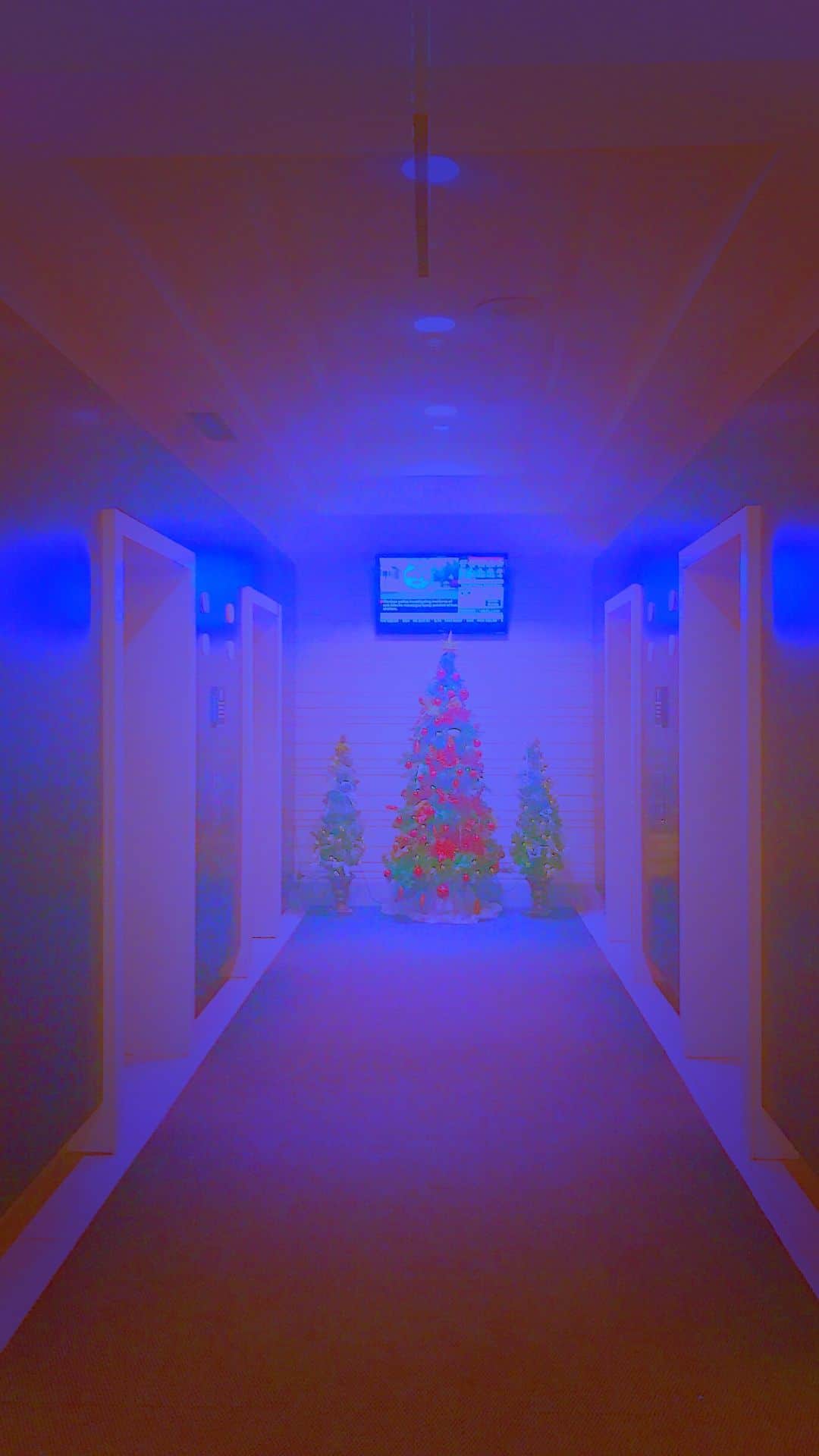 Cozy christmas zoom background - paralke